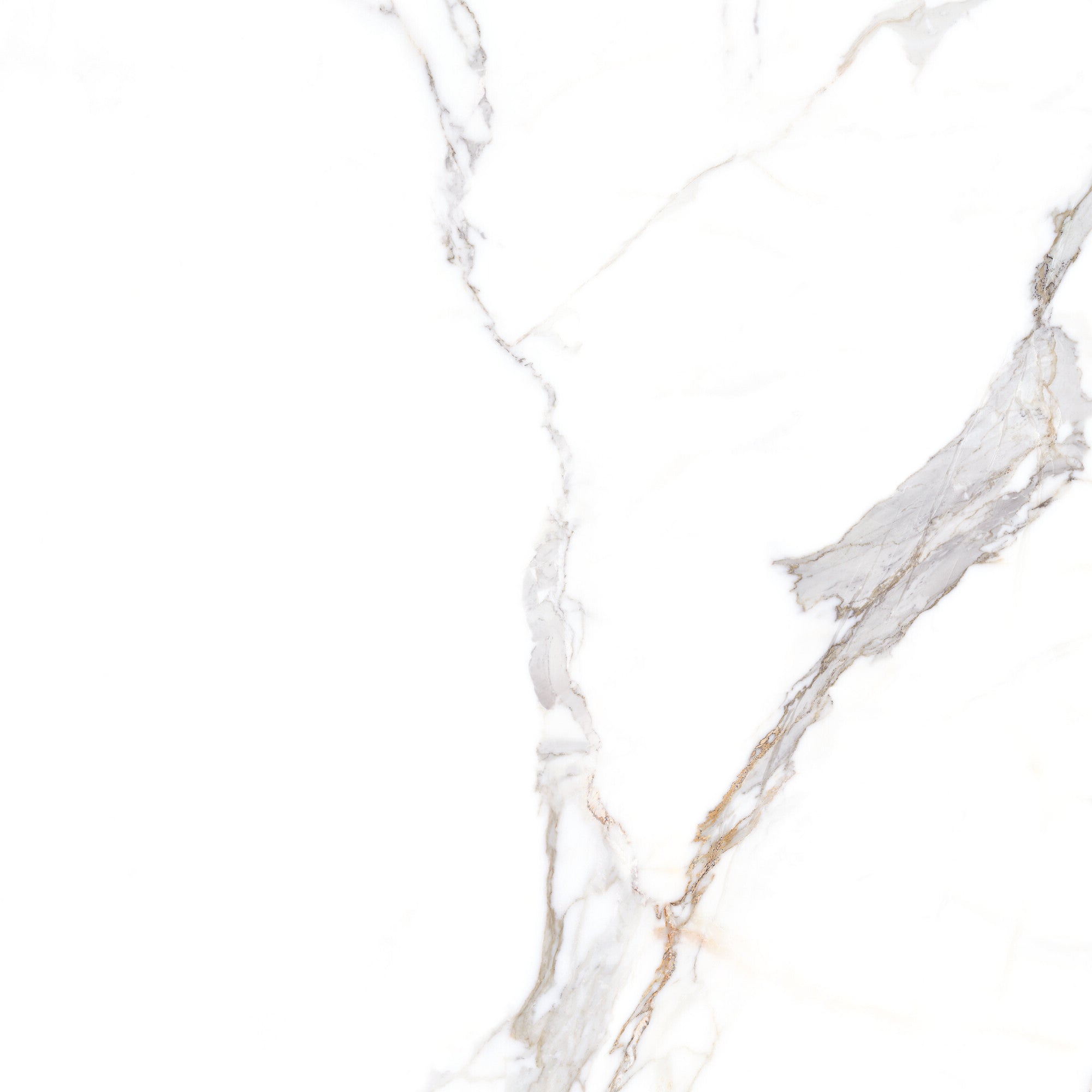 Sculpture Grande Calacatta Maximus 100x100cm