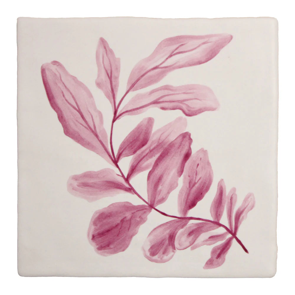 Seaweed Garden Sea Beech 13x13cm