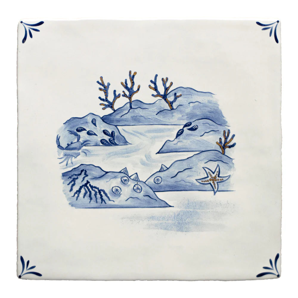 Wilderness Delft Rockpooling with Gold 13x13cm