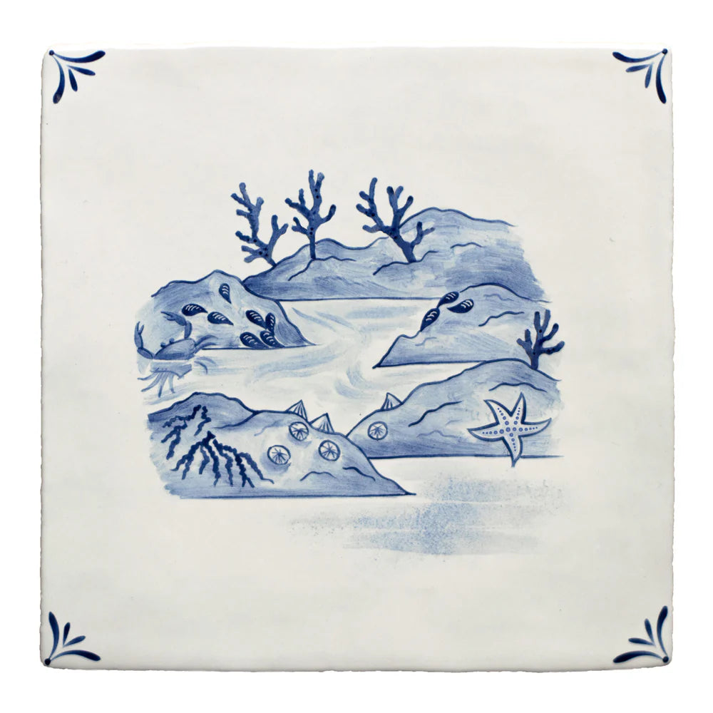 Wilderness Delft Rockpooling 13x13cm