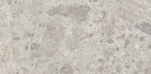 Ceppo Gris 60x120cm