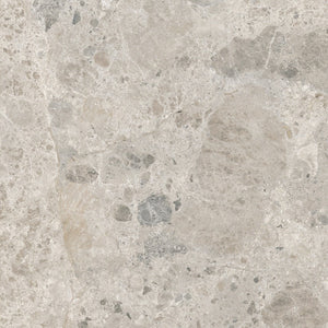 Ceppo Gris 60x60cm