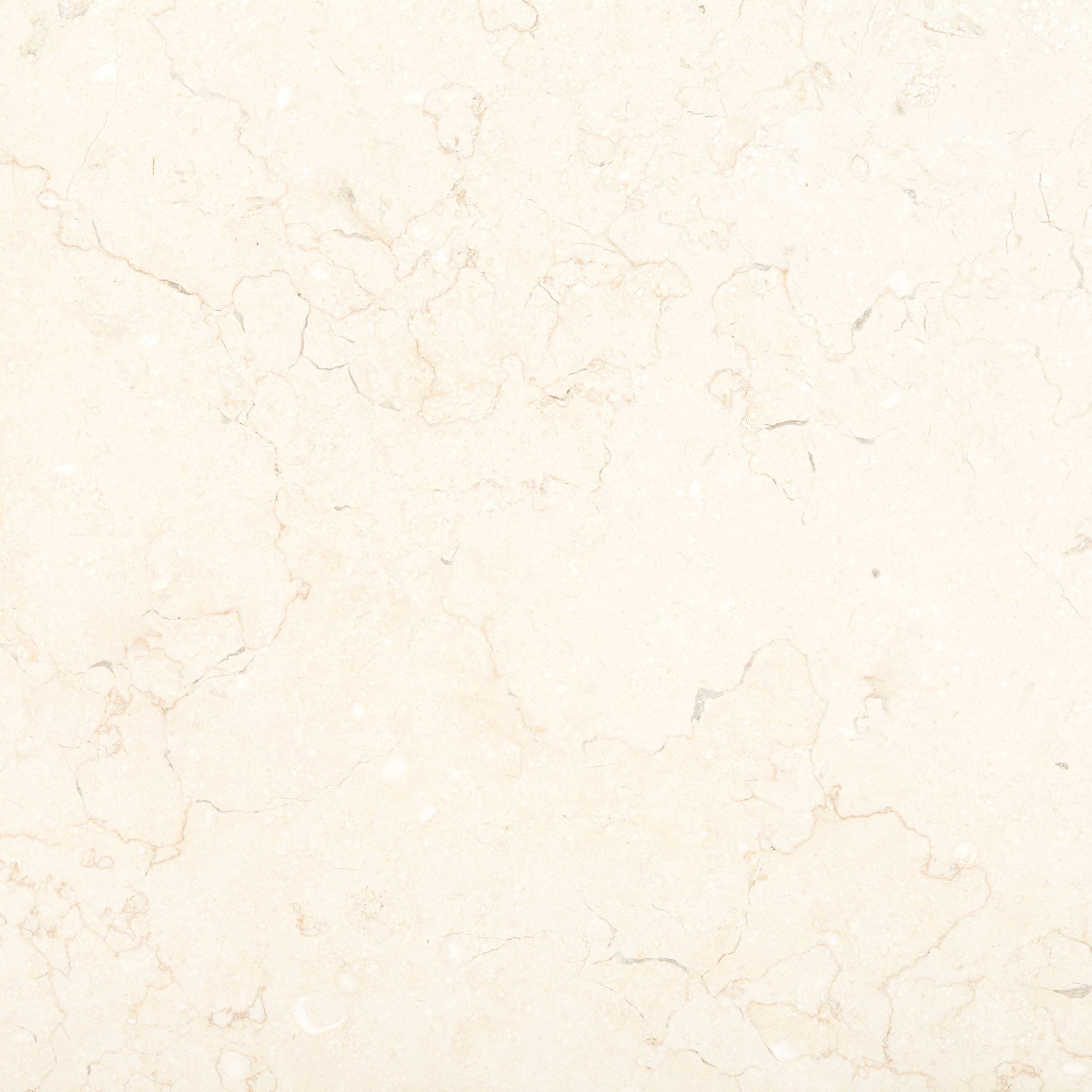 Temple Ezra Honed Limestone 60x60cm