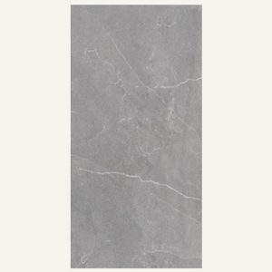 Vena Grey 60x120cm