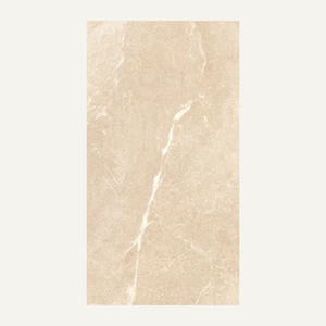Vena Beige 60x120cm