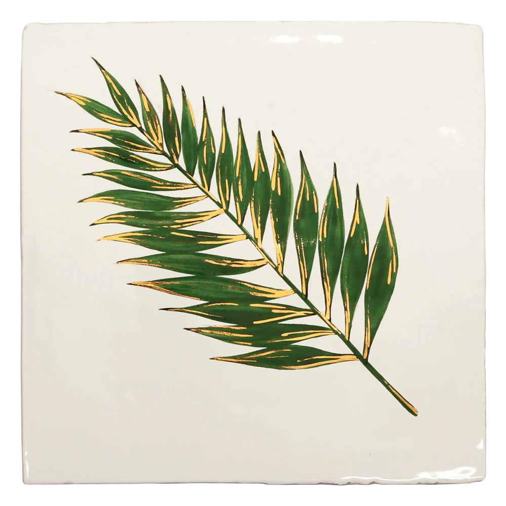 Glass House Parlour Palm 13x13cm
