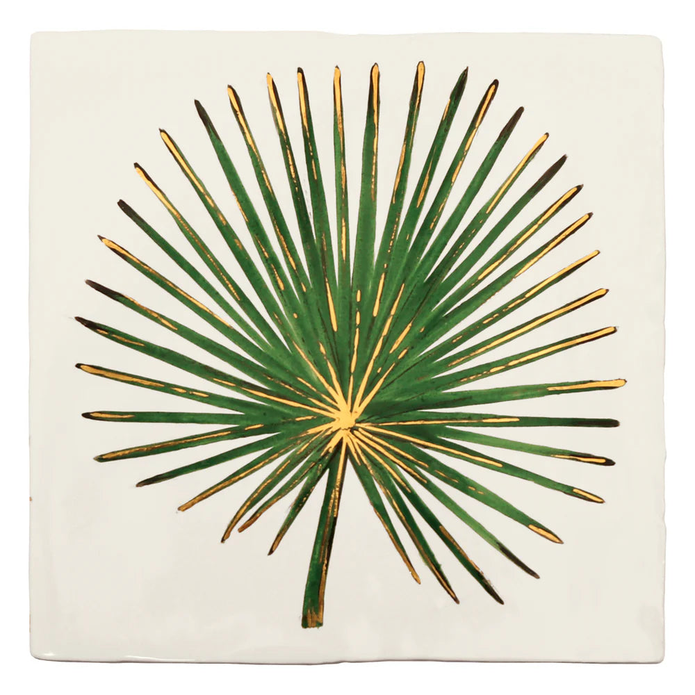 Glass House Fan Palm 13x13cm