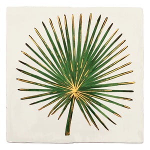 Glass House Fan Palm 13x13cm