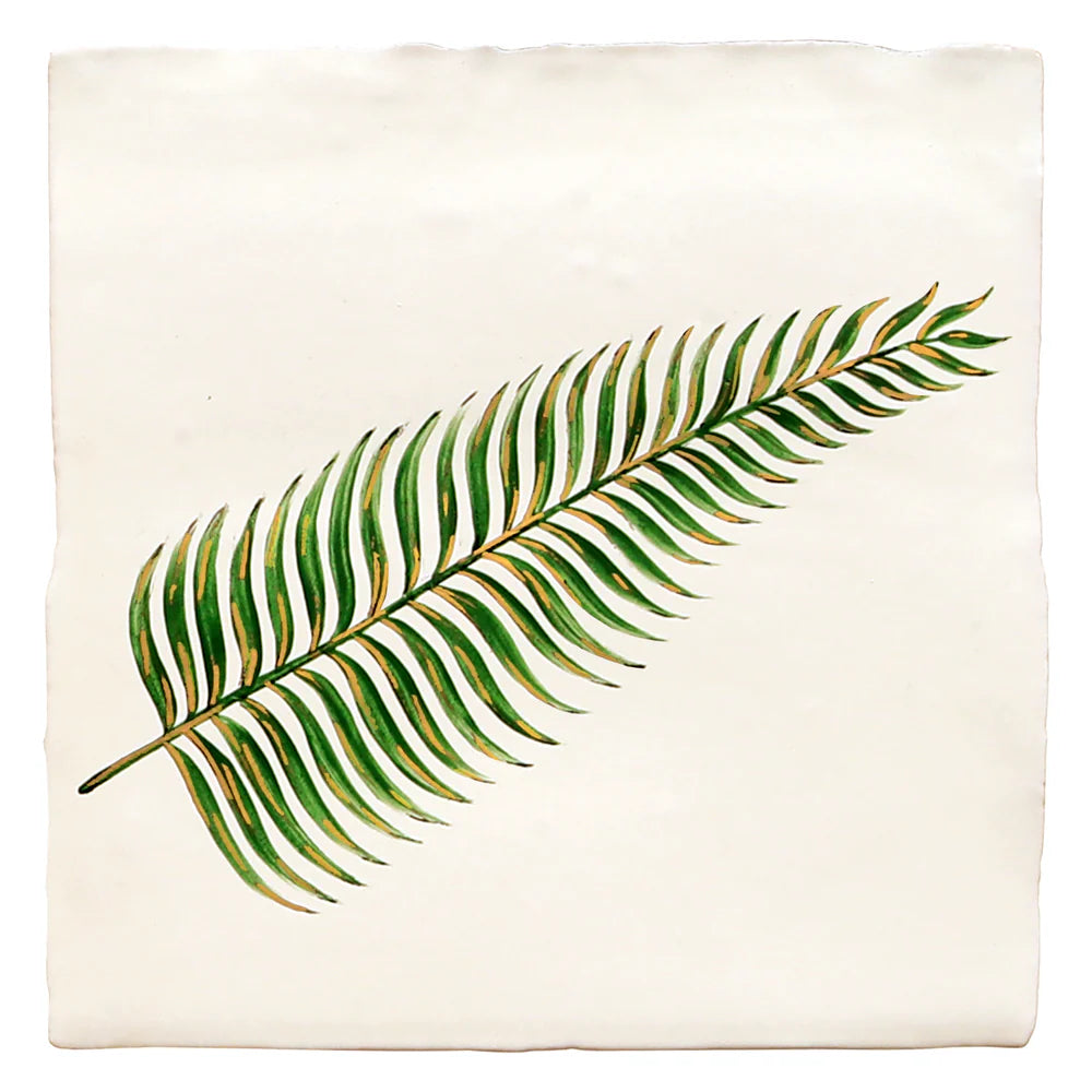 Glass House Boston Fern 13x13cm