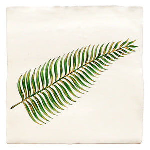 Glass House Boston Fern 13x13cm