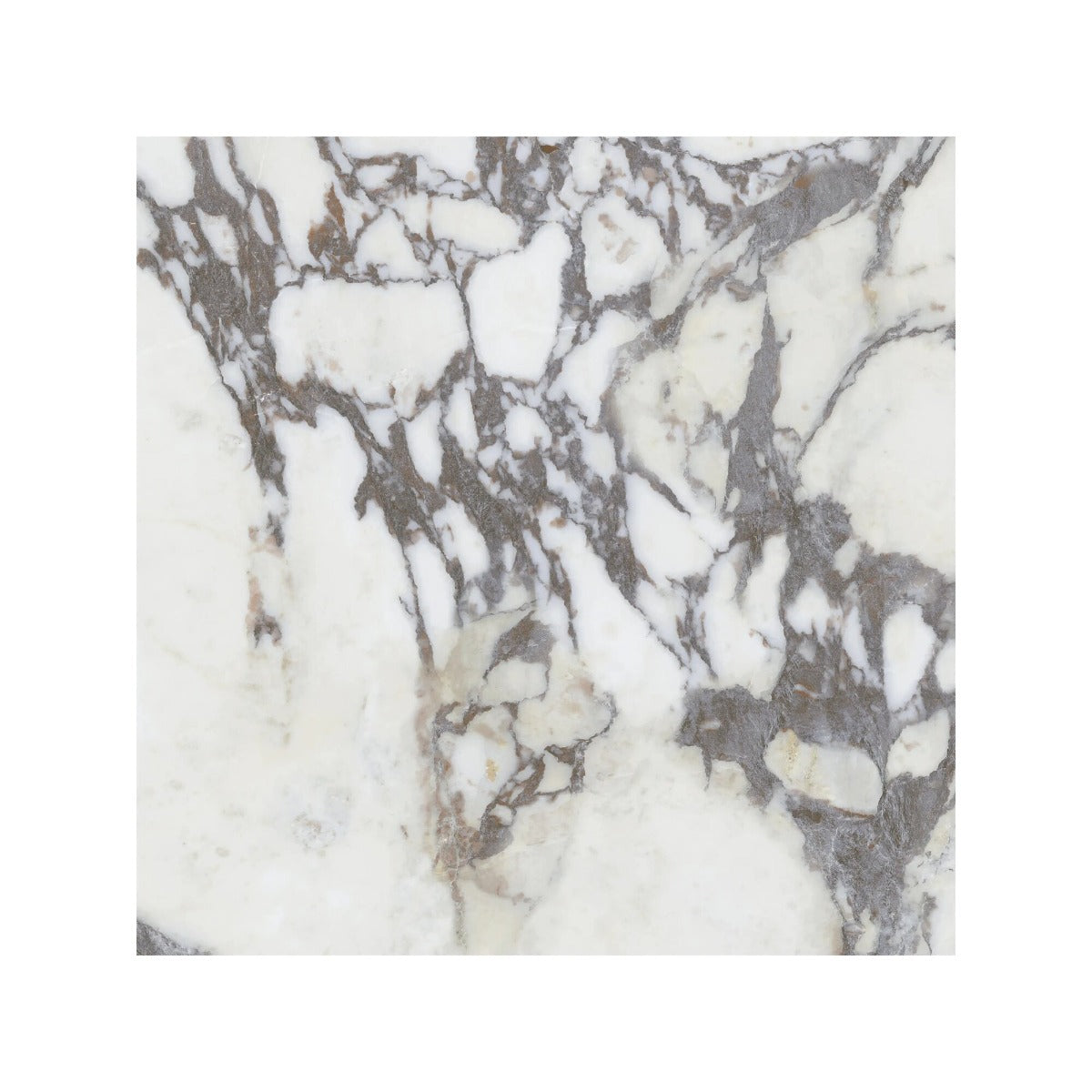 Lux Viola 60x60cm
