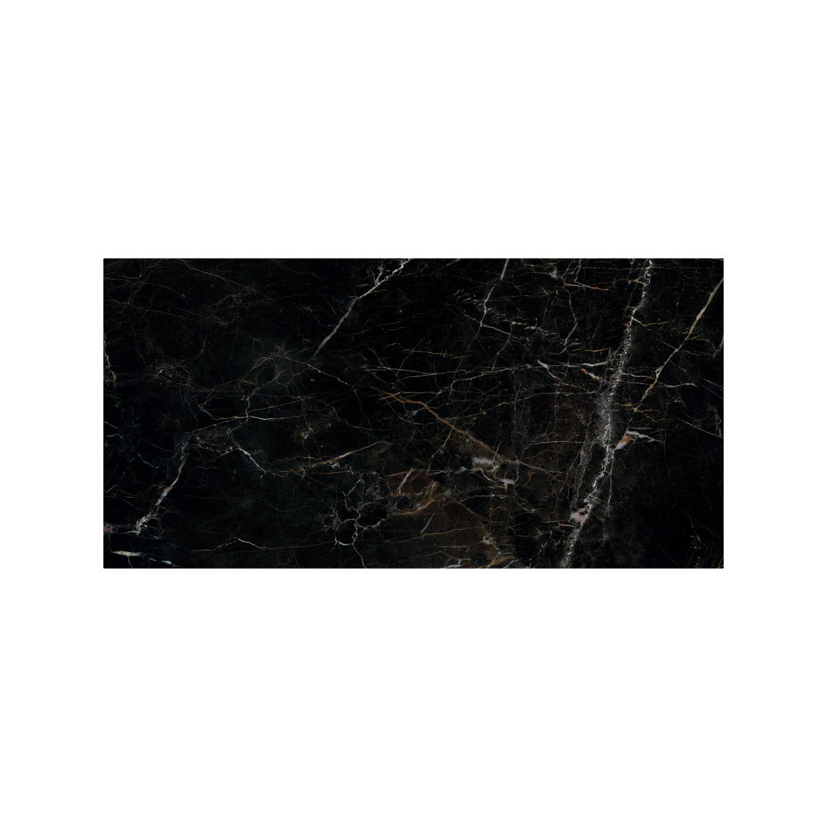 Volterra Laurent Gloss 59.6x119.5cm