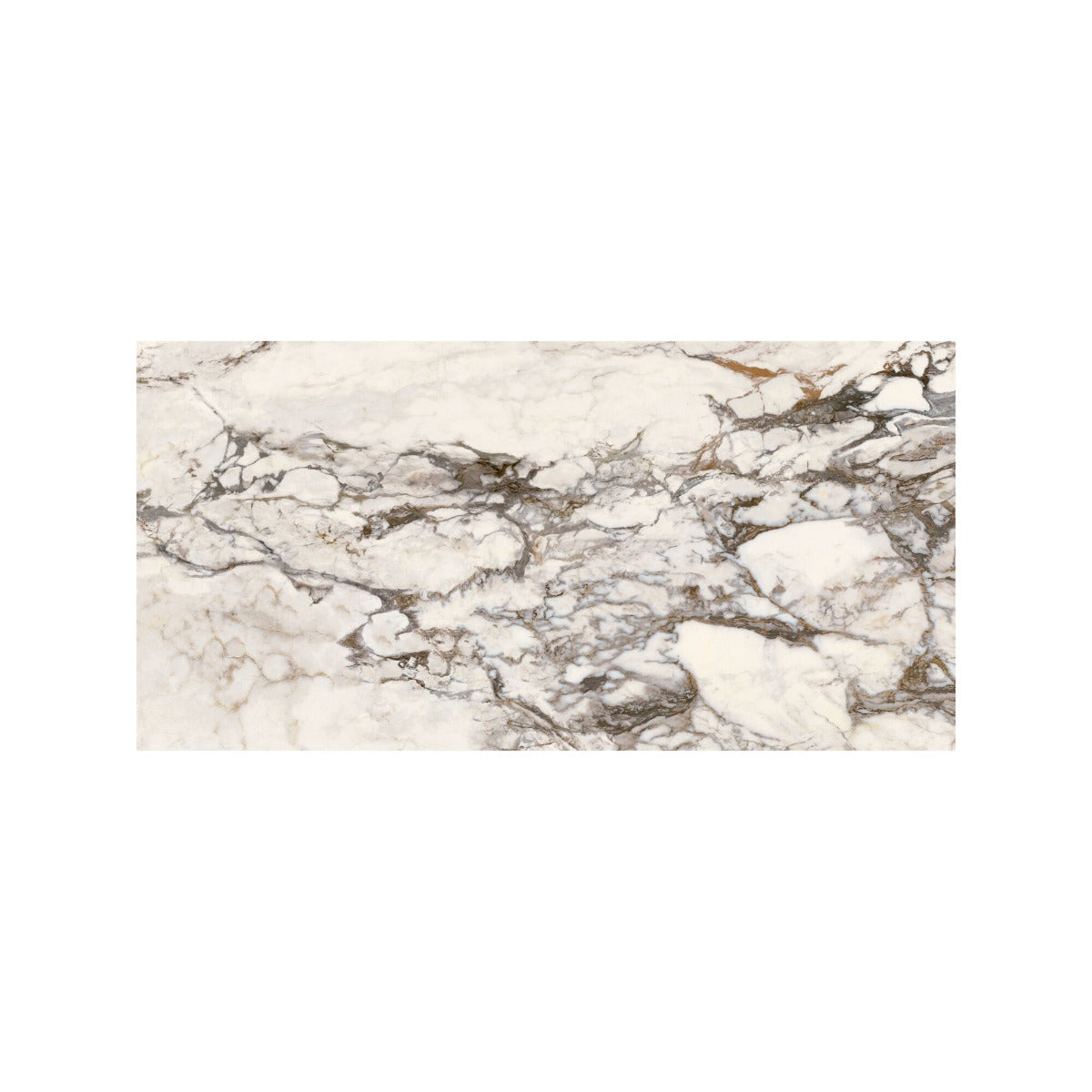 Volterra Tortona Gloss 59.6x119.5cm